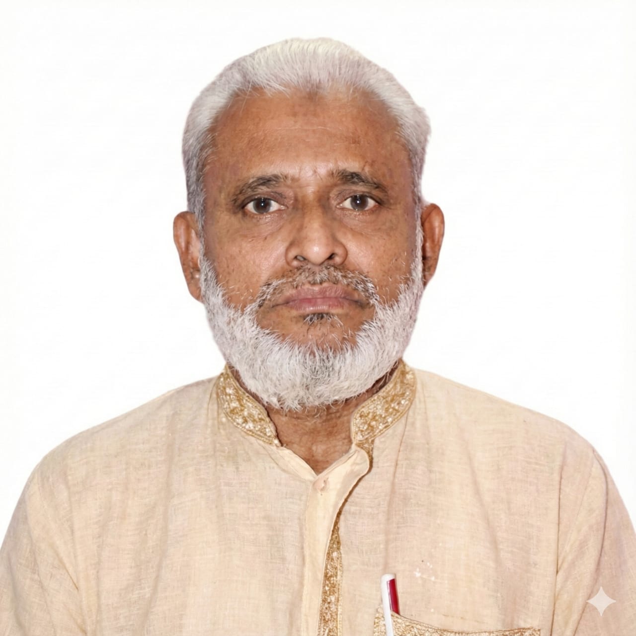 প্রকল্প চেয়ারম্যান